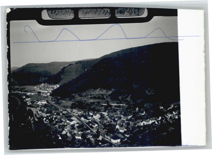 Wilgartswiesen Fliegeraufnahme