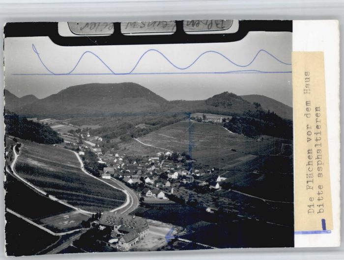 Leinsweiler Fliegeraufnahme