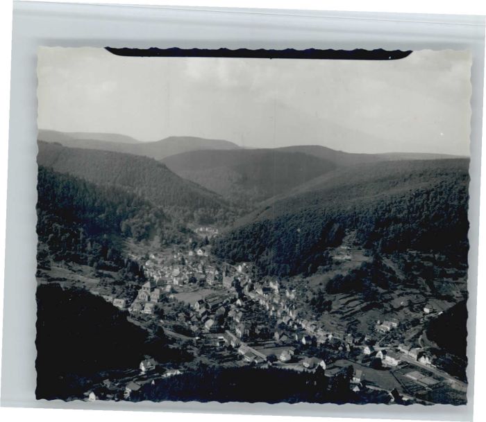 Elmstein Fliegeraufnahme