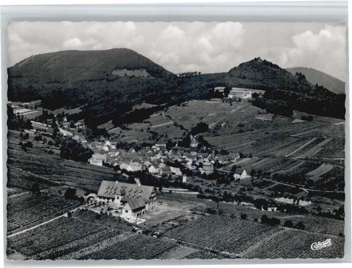 Leinsweiler Fliegeraufnahme Hotel Leinsweiler Hof