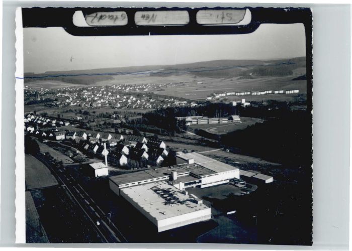 Neustadt Weinstrasse Fliegeraufnahme