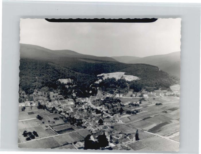 Haardt Weinstrasse Fliegeraufnahme