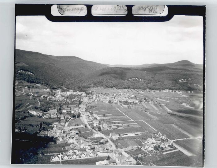 Gimmeldingen Neustadt Weinstrasse Rheinland-Pfalz Fliegeraufnahme