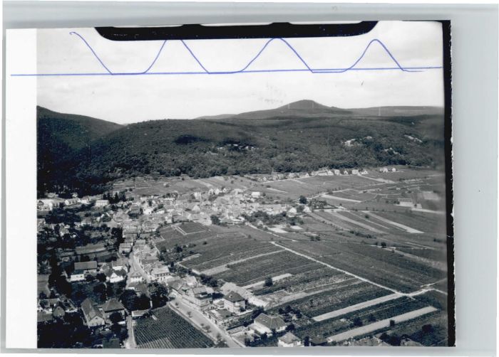 Gimmeldingen Neustadt Weinstrasse Rheinland-Pfalz Fliegeraufnahme