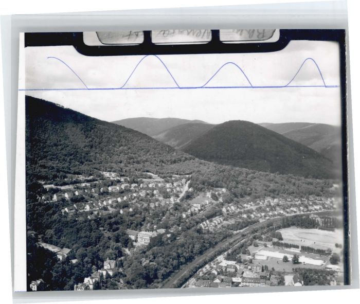 Neustadt Weinstrasse Fliegeraufnahme