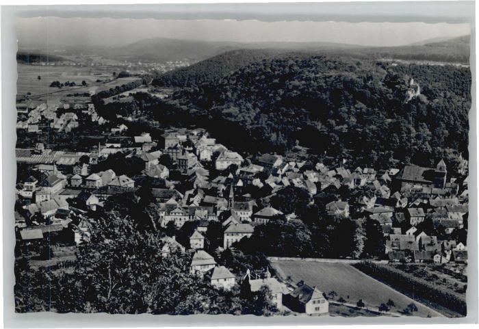 Bad Bergzabern Schwanenweiher