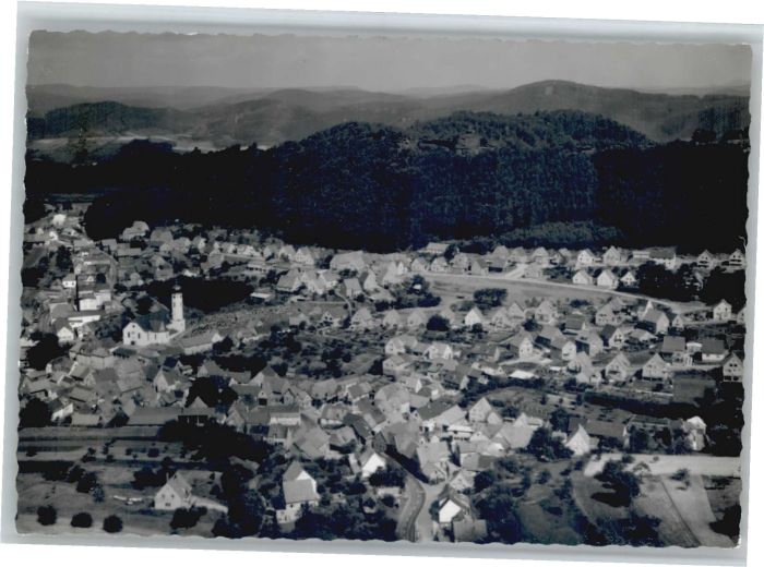 Busenberg Pfalz Fliegeraufnahme