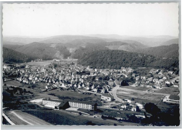 Dahn Fliegeraufnahme