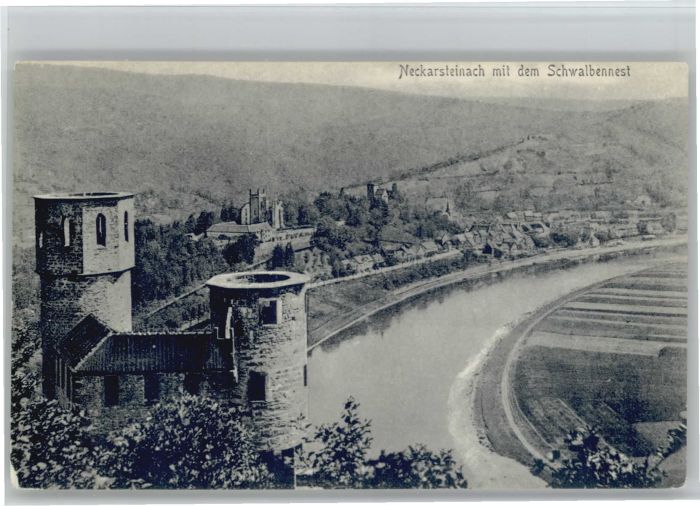 Neckarsteinach Schwalbennest