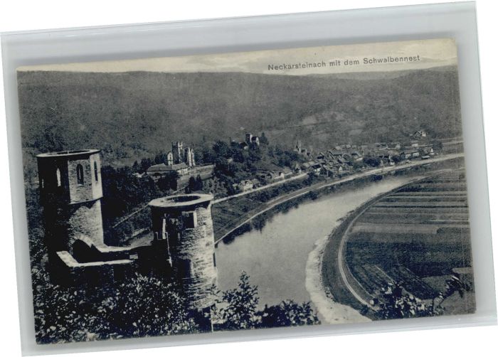 Neckarsteinach Schwalbennest