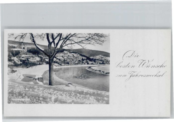 Neckarsteinach Neujahrsgrüsse