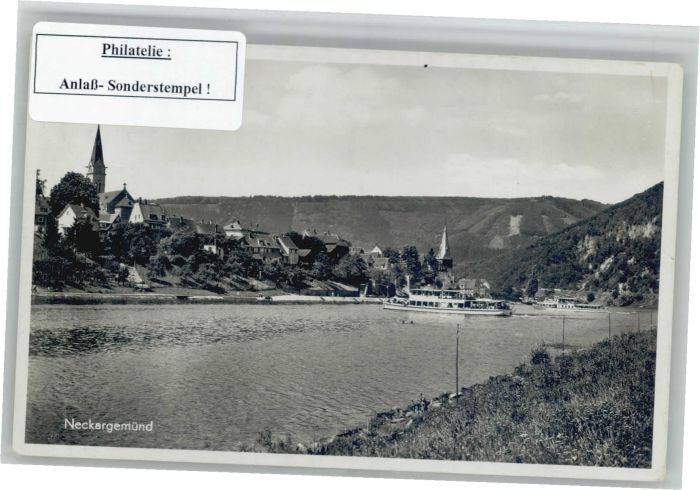 Neckargemuend ampfer