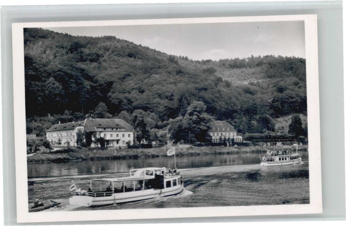 Heidelberg Neckar Heidelberg Dampfer Parkhotel Harlass