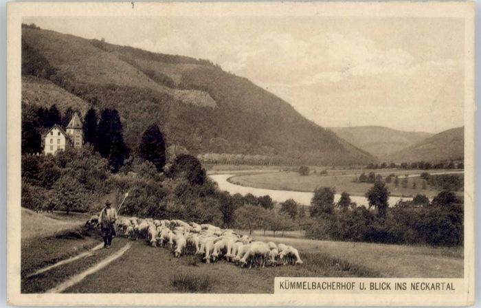 Neckargemuend ümmelbacherhof *