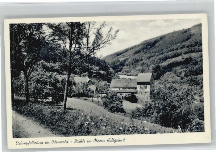 Struempfelbrunn ühle Oberen Höllgrund *