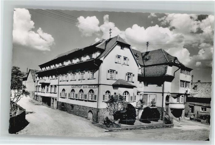 Waldkatzenbach Pension Adler