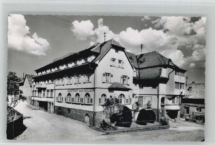 Waldkatzenbach Pension Adler