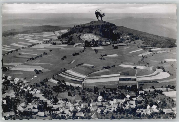 Waldkatzenbach Fliegeraufnahme