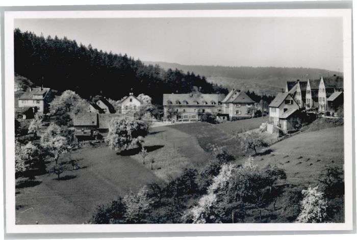 Schriesheim Pension Schriesheimer Hof