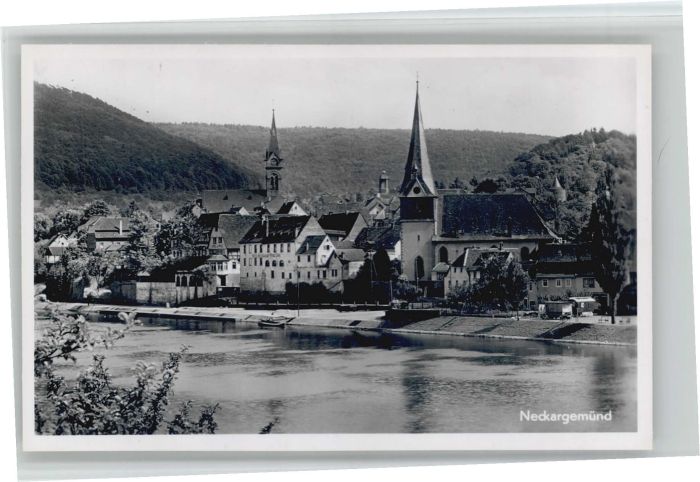 Neckargemuend otel Zur Pfalz