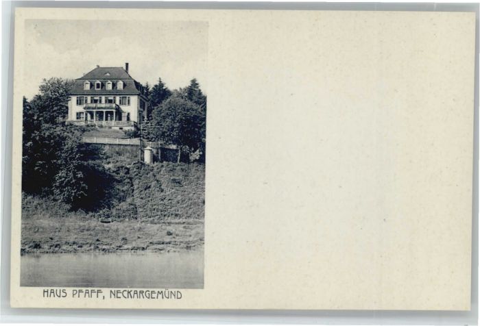 Neckargemuend aus Pfaff