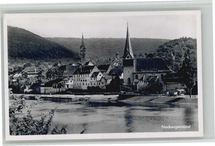 Neckargemuend otel Zur Pfalz