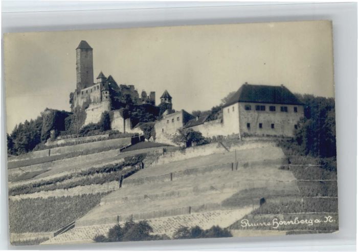 Neckarzimmern Ruine Hornberg