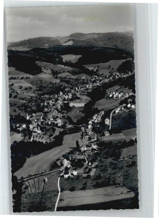 Weiher Odenwald Fliegeraufnahme