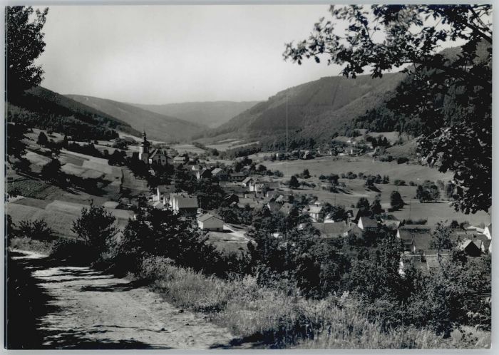 Unterschoenmattenwag