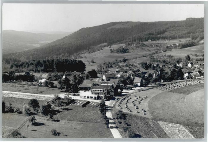 Siedelsbrunn Fliegeraufnahme