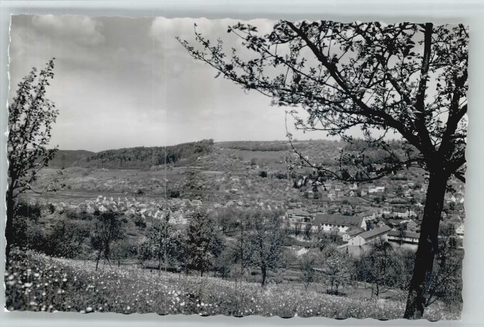 Murrhardt Rems-Murr-Kreis BW