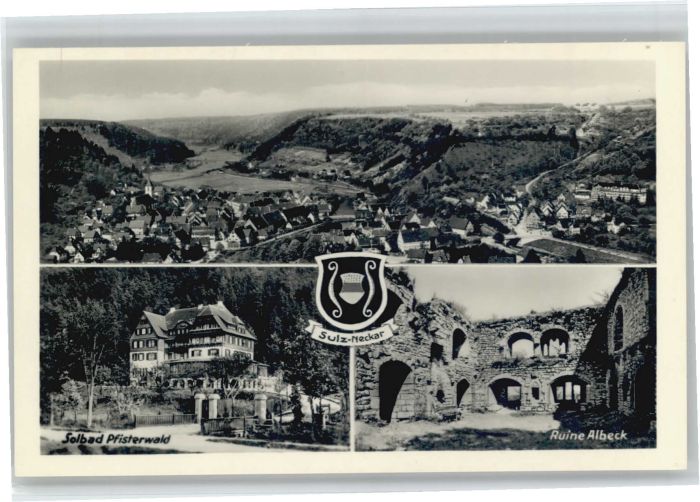 Sulz Neckar Solbad Pfisterwald Ruine Albeck Wappen