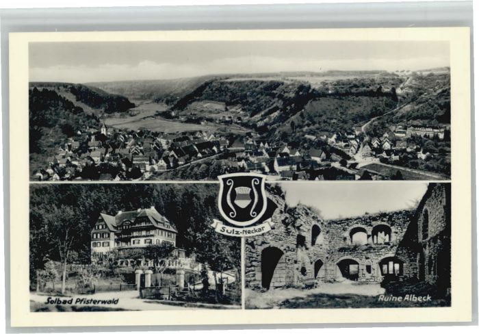 Sulz Neckar Solbad Pfisterwald Ruine Albeck Wappen