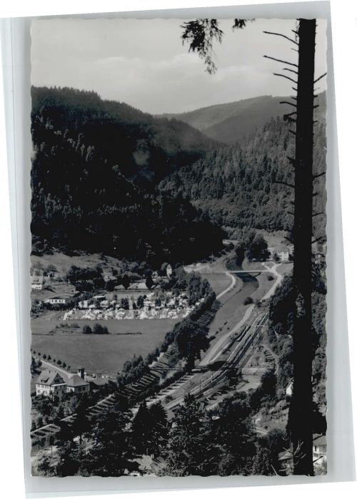 Bad Liebenzell Campingplatz