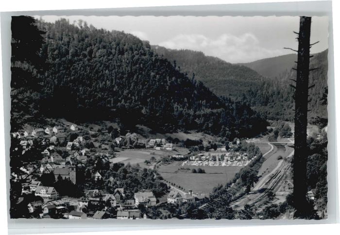 Bad Liebenzell Campingplatz