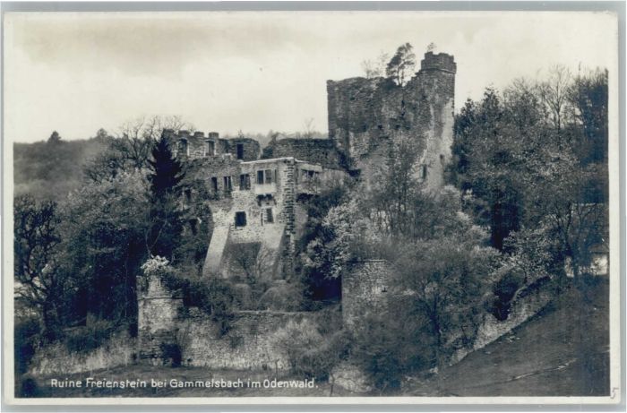 Gammelsbach Ruine Freienstein