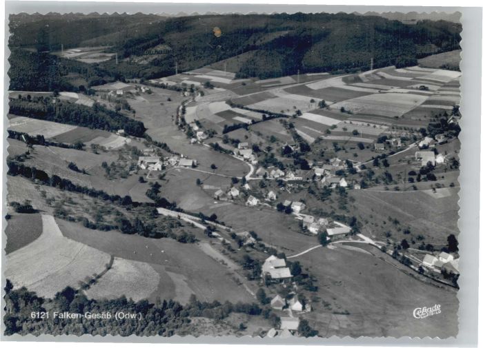 Falken-Gesaess liegeraufnahme