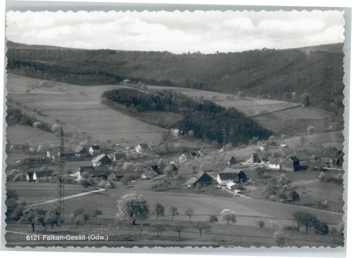 Falken-Gesaess