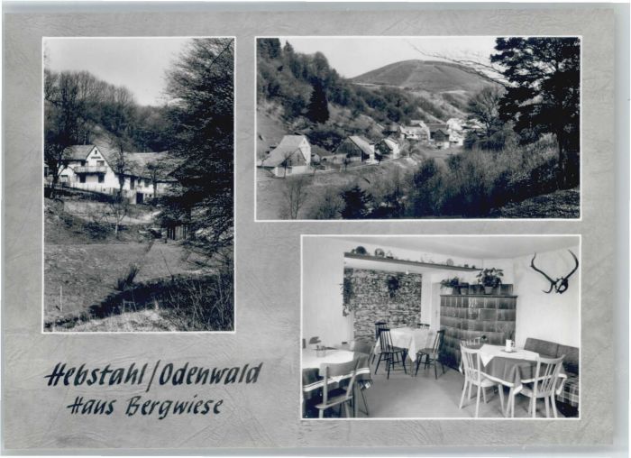 Hebstahl Haus Bergwiese