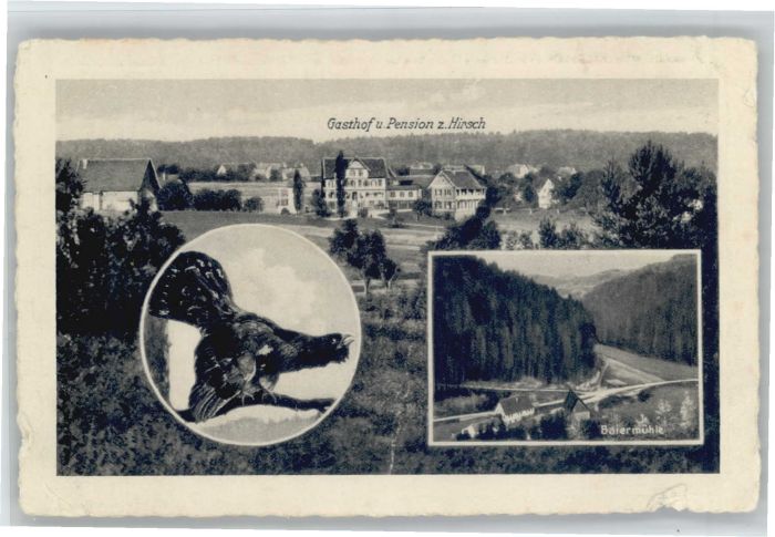 Heselbronn Gasthof Pension zum Hirsch Auerhahn Bai