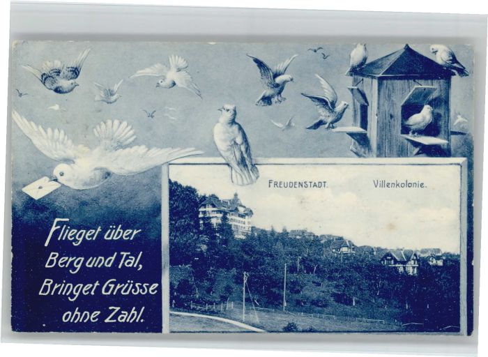 Freudenstadt Villenkolonie