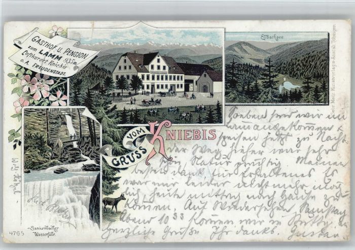 Kniebis Freudenstadt Kniebis Gasthof Pension zum Lamm