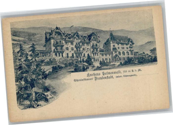 Freudenstadt Kurhaus Palmenwald