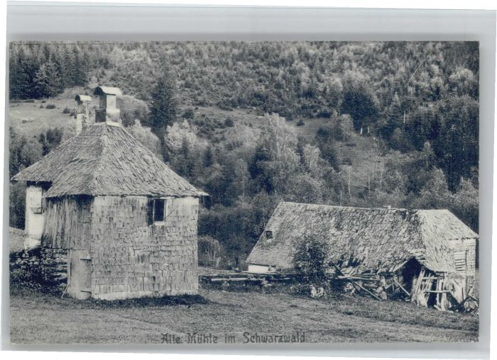 Freudenstadt [Verlag G. D. Bernhardt] Mühle