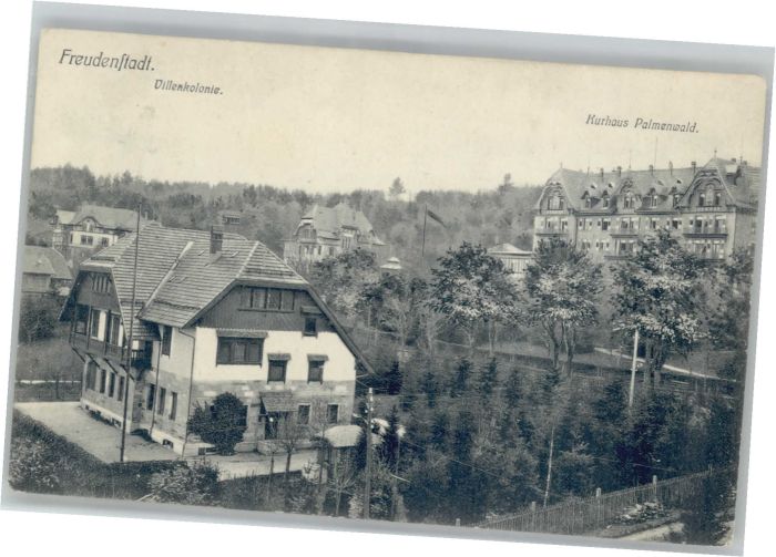 Freudenstadt Villenkolonie Kurhaus Palmenwald