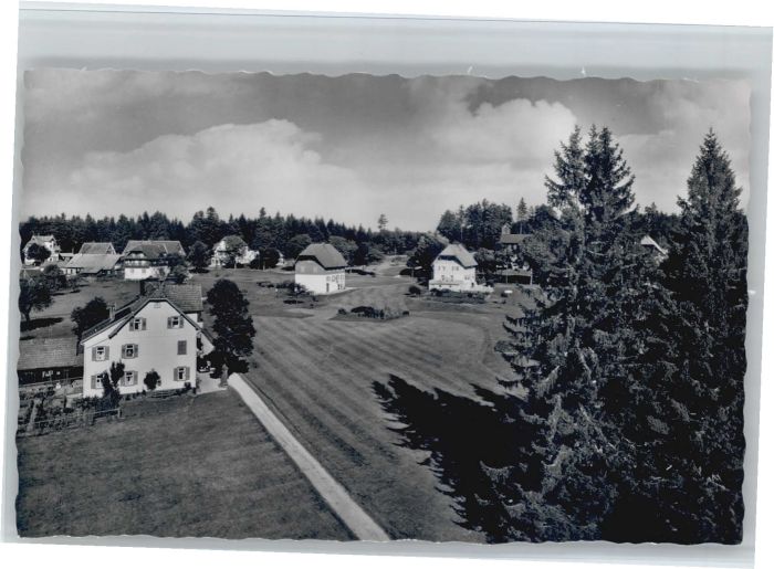 Zwieselberg Freudenstadt