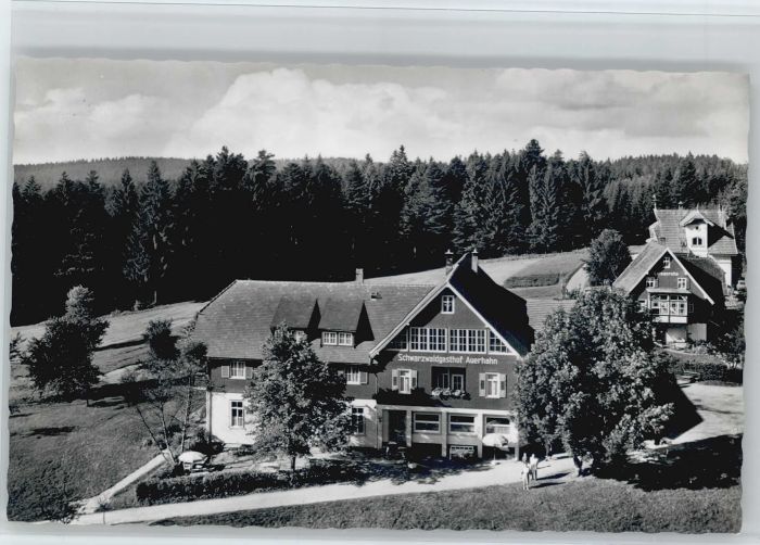 Zwieselberg Freudenstadt Gasthof Auerhahn