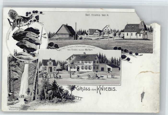 Kniebis Freudenstadt Kniebis Pension zum Schwarzwald