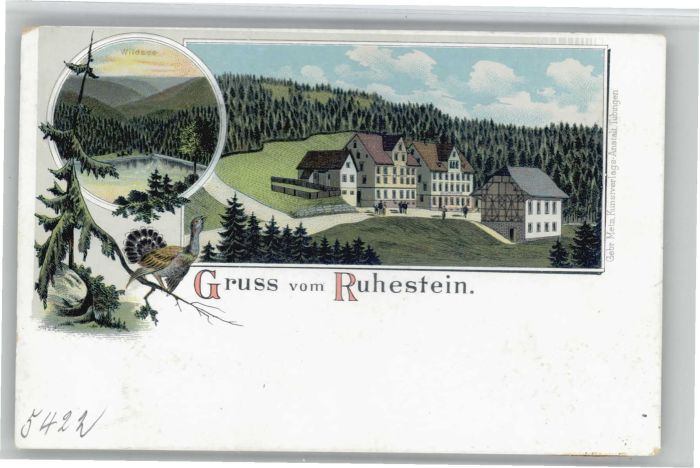 Ruhestein
