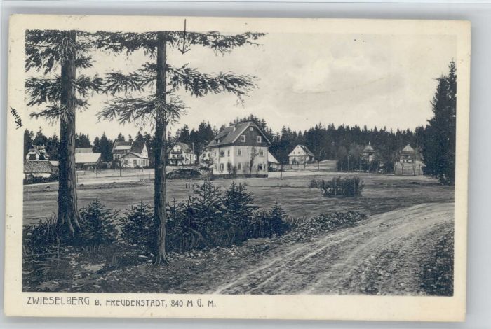 Zwieselberg Freudenstadt